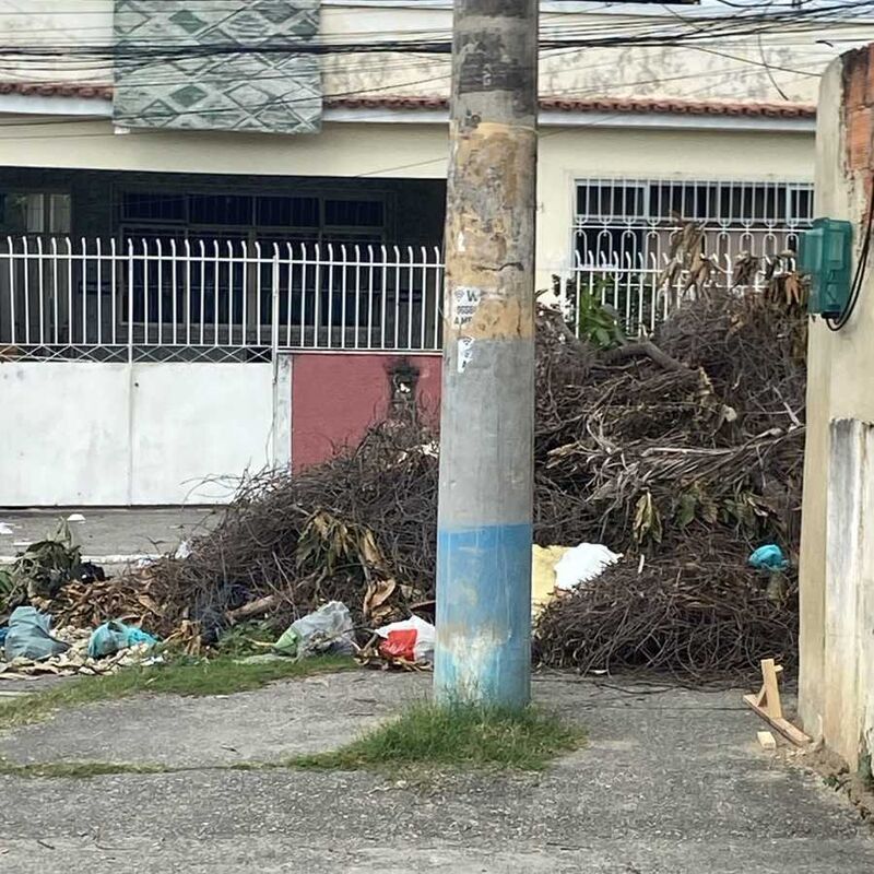 Imagem da publicação