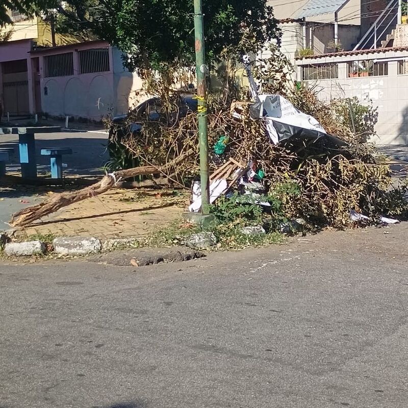 Imagem da publicação