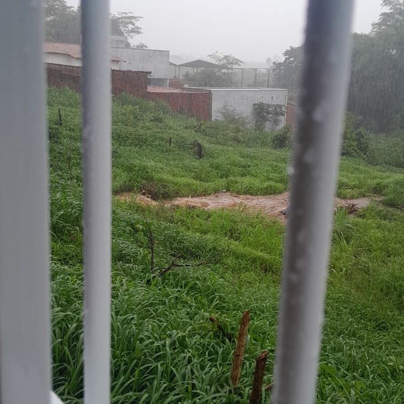 Imagem da publicação