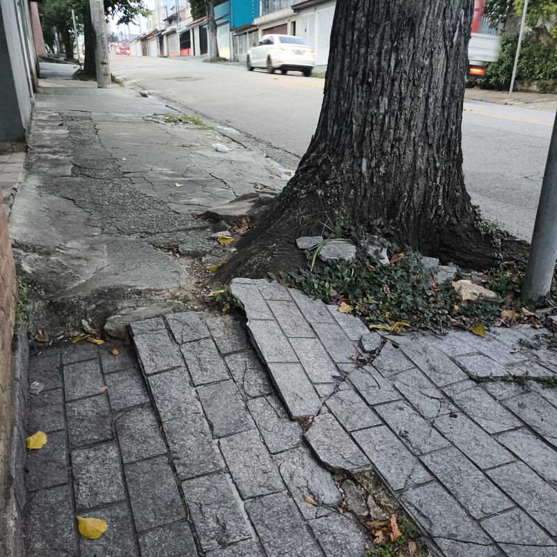 Imagem da publicação