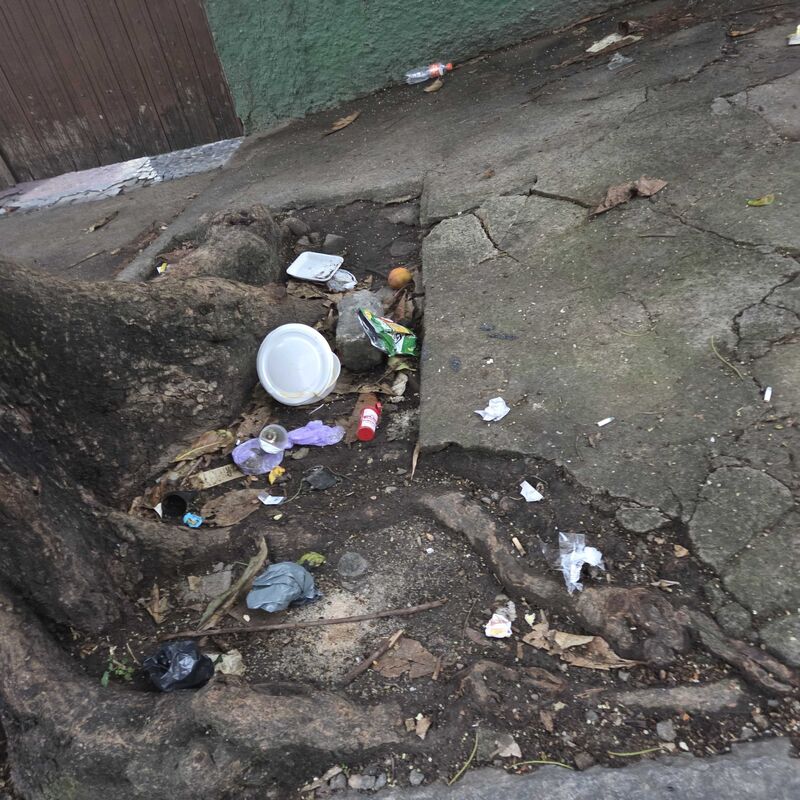Imagem da publicação