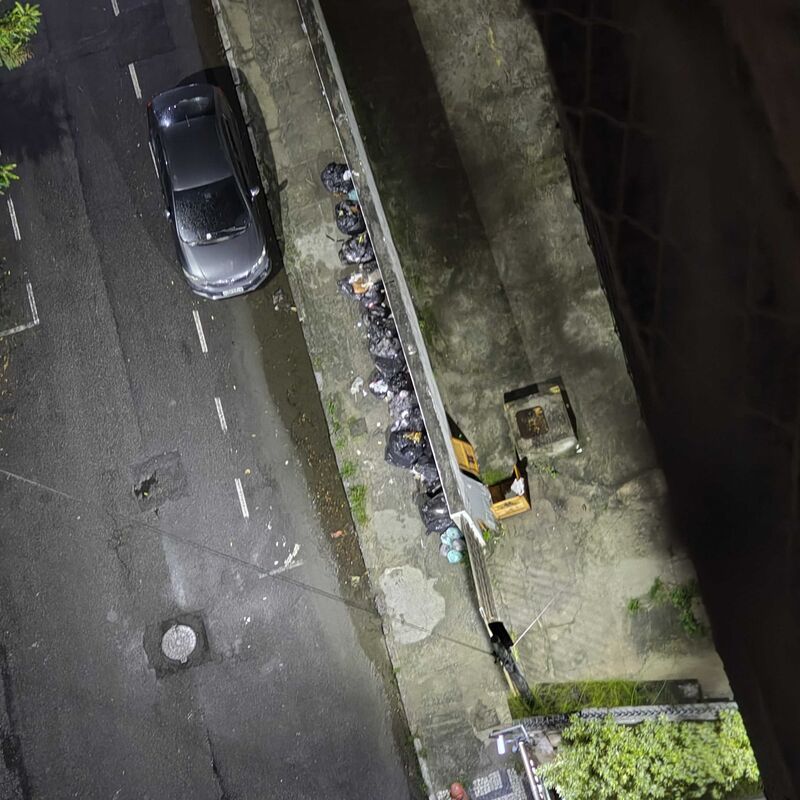 Imagem da publicação