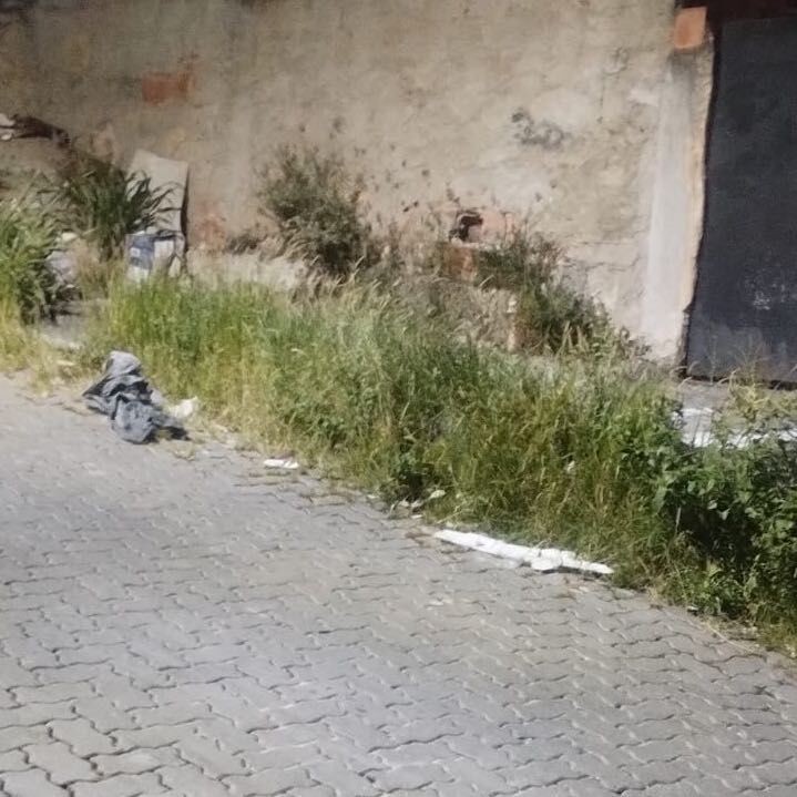 Imagem da publicação