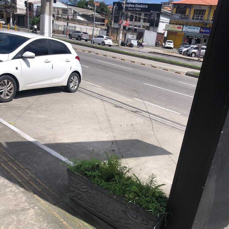 Imagem da publicação