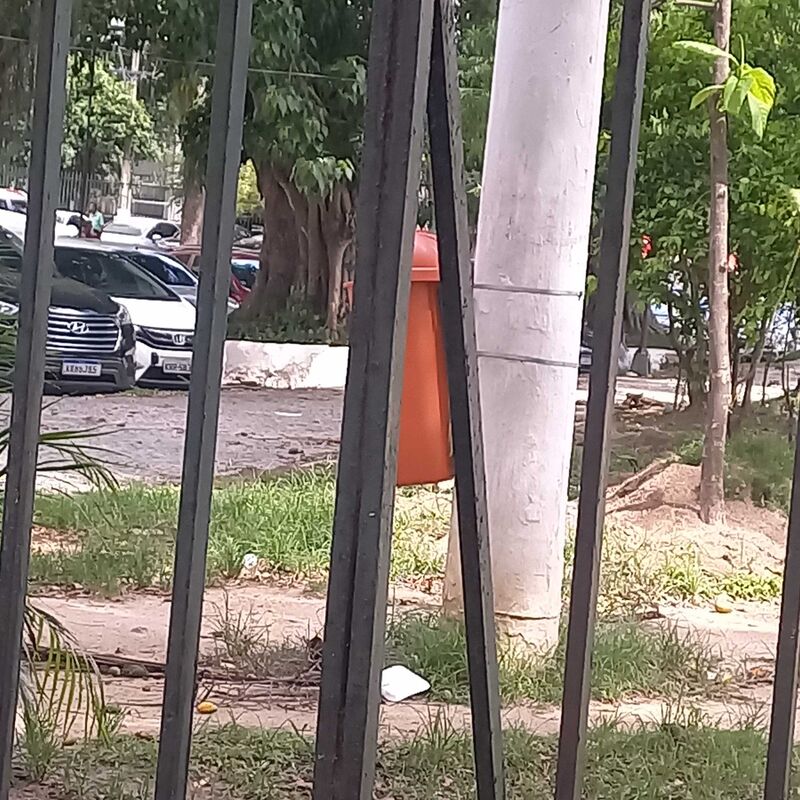 Imagem da publicação