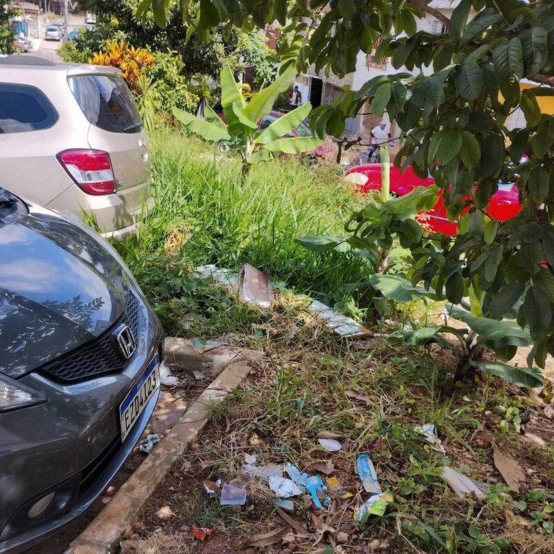 Imagem da publicação