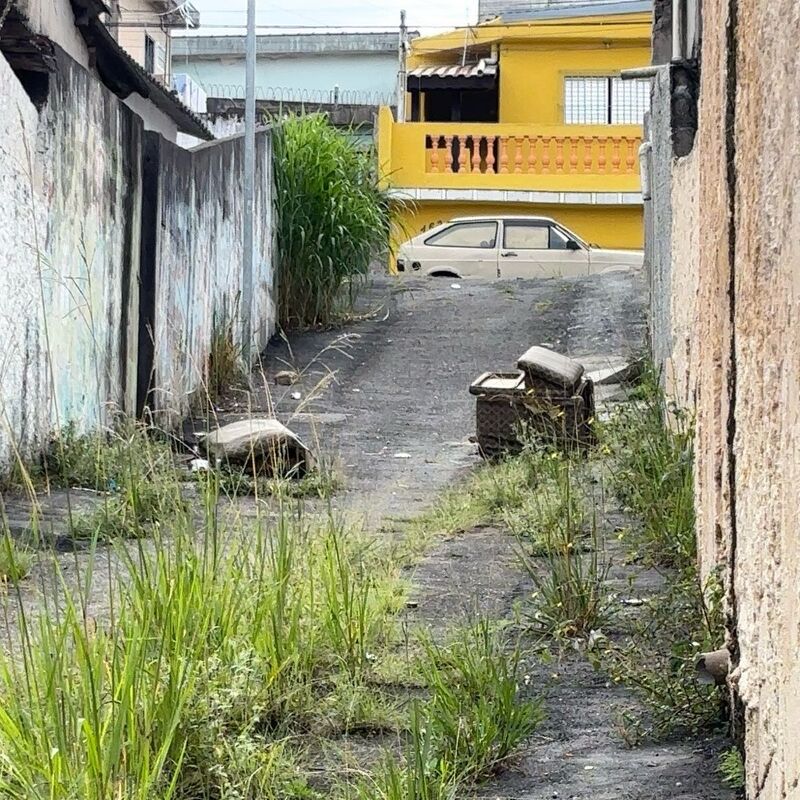 Imagem da publicação