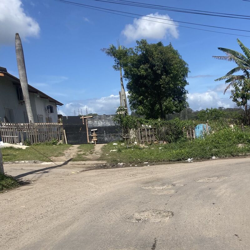 Imagem da publicação