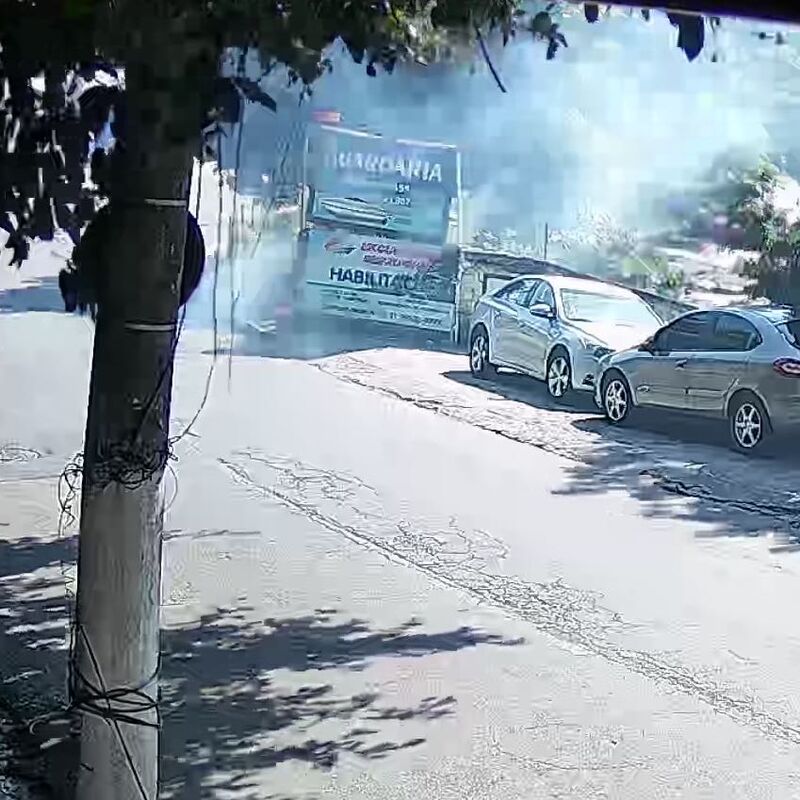 Imagem da publicação