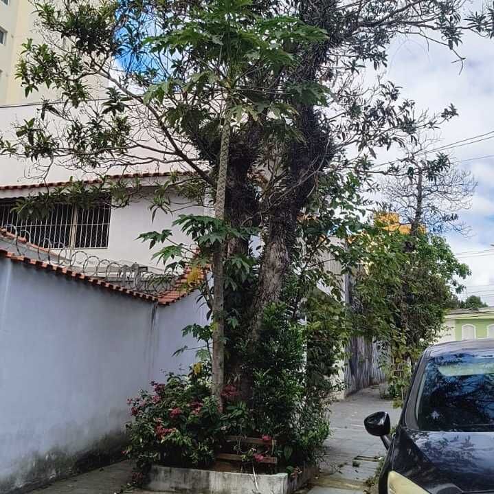 Imagem da publicação