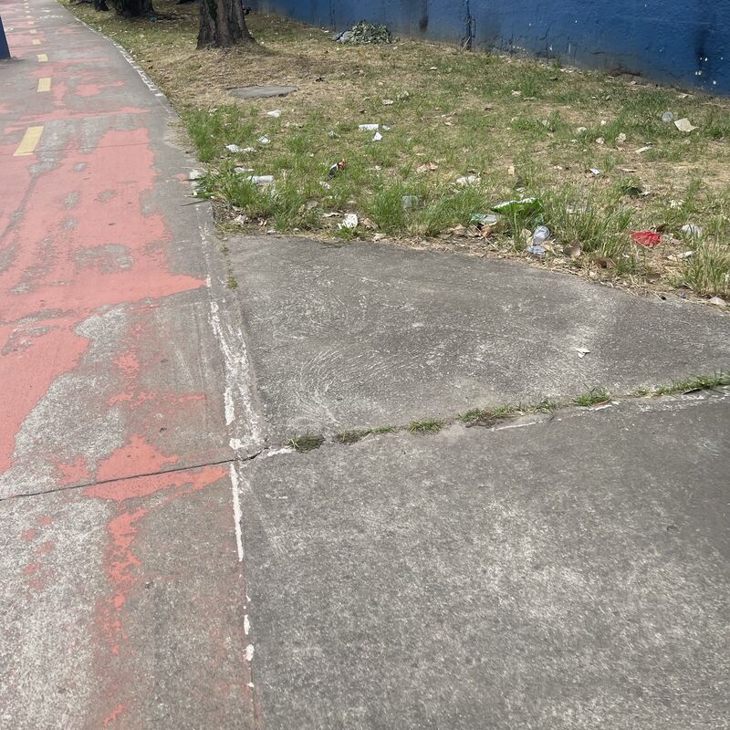 Imagem da publicação