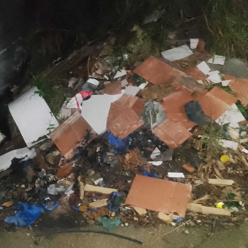 Imagem da publicação