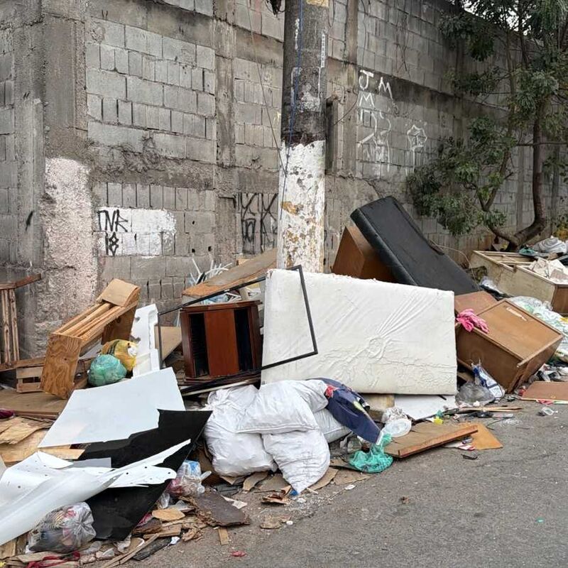 Imagem da publicação
