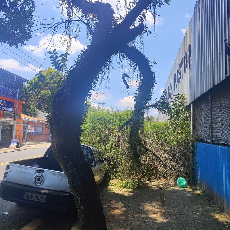 Imagem da publicação