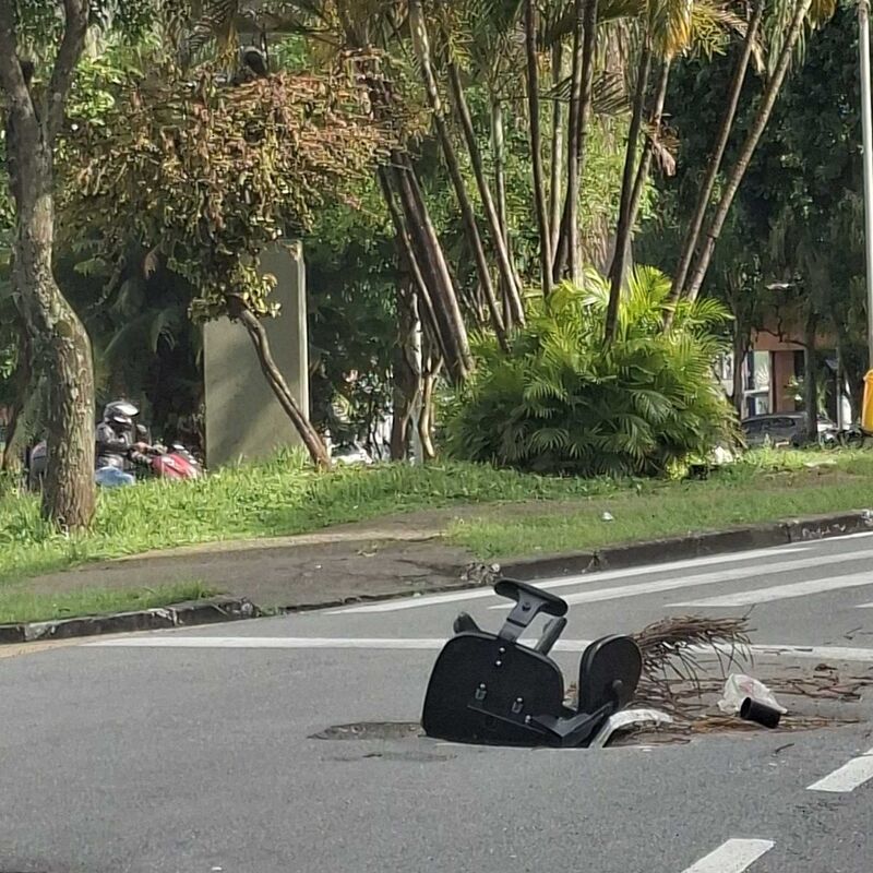 Imagem da publicação