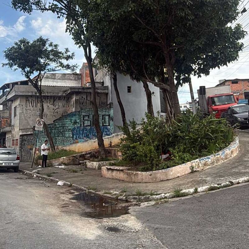 Imagem da publicação