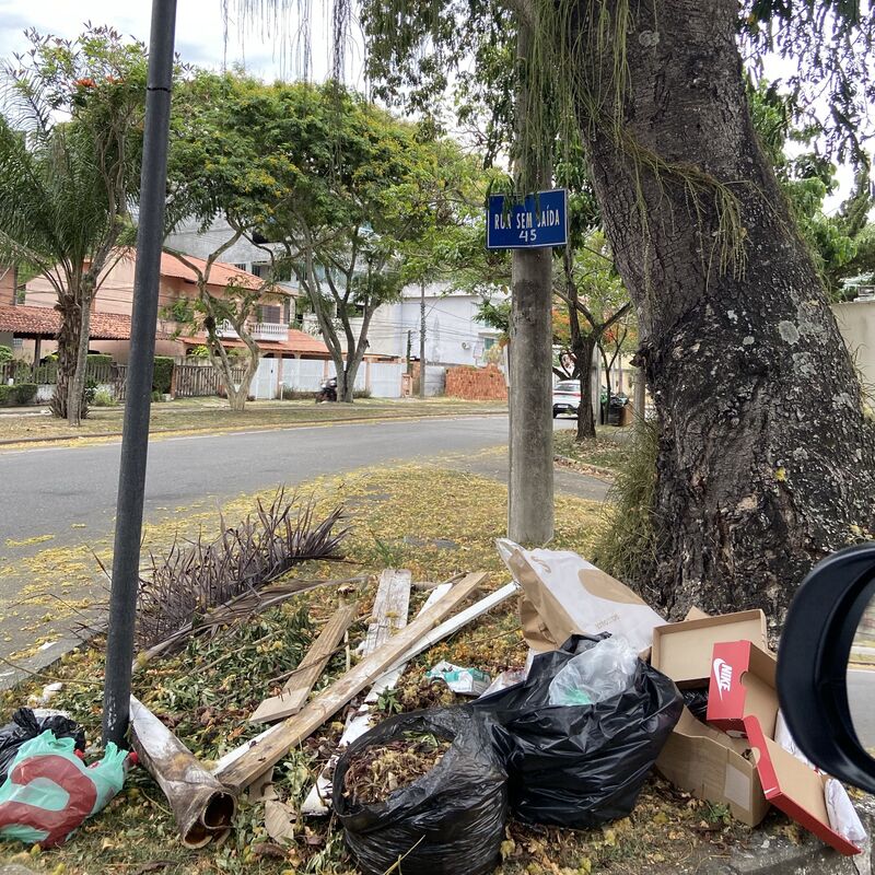 Imagem da publicação