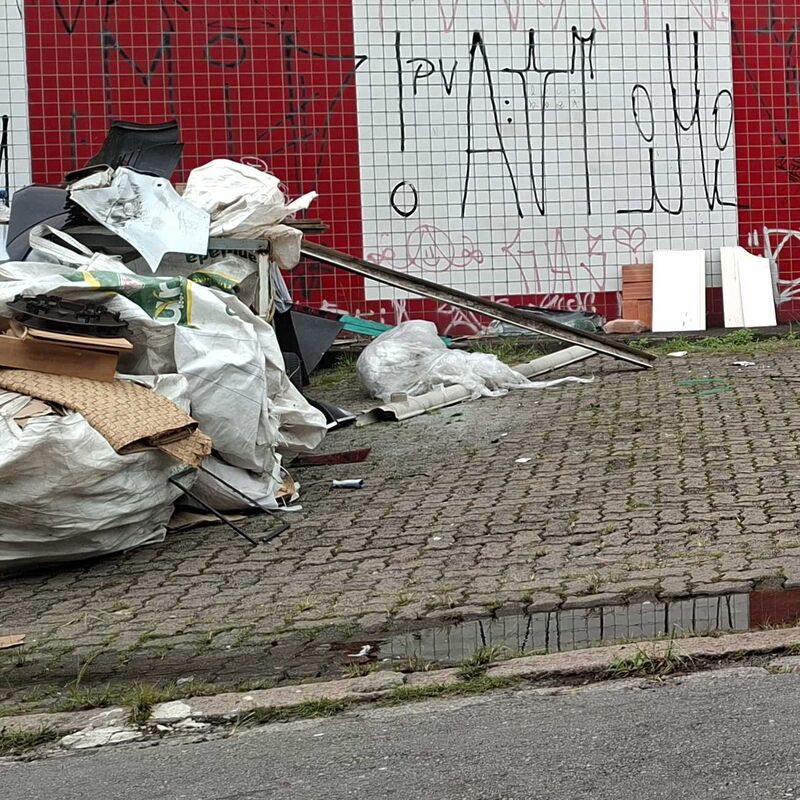 Imagem da publicação