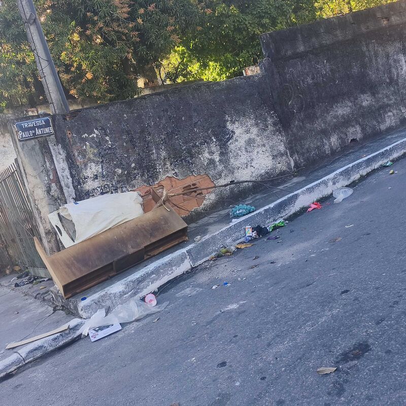 Imagem da publicação