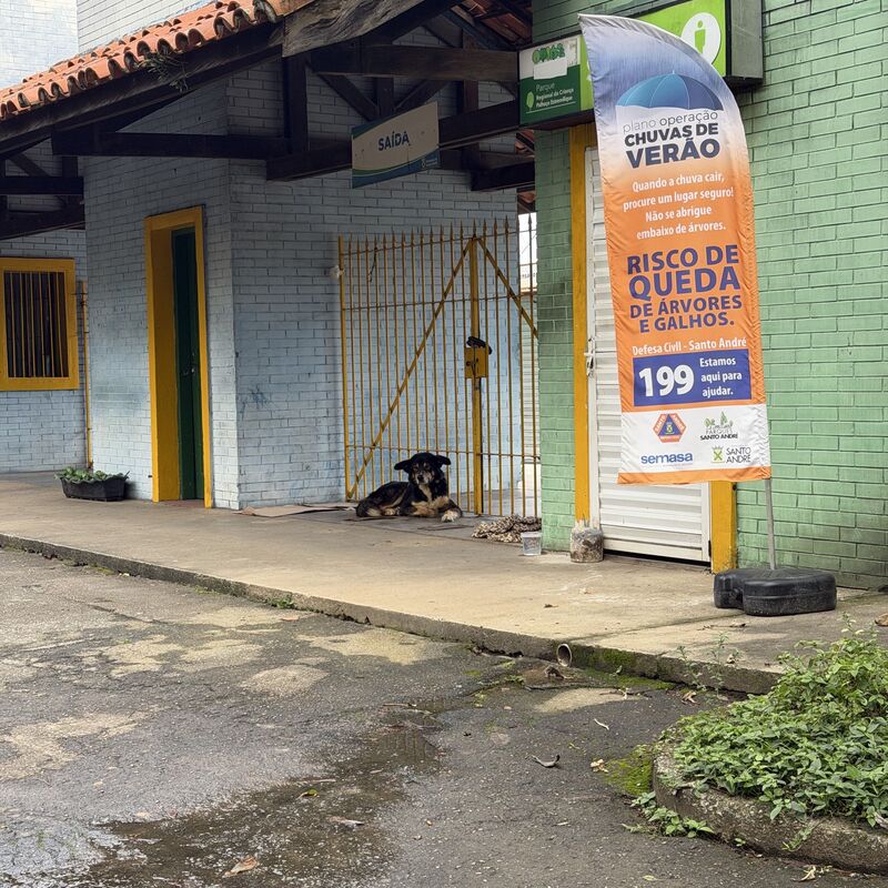 Imagem da publicação