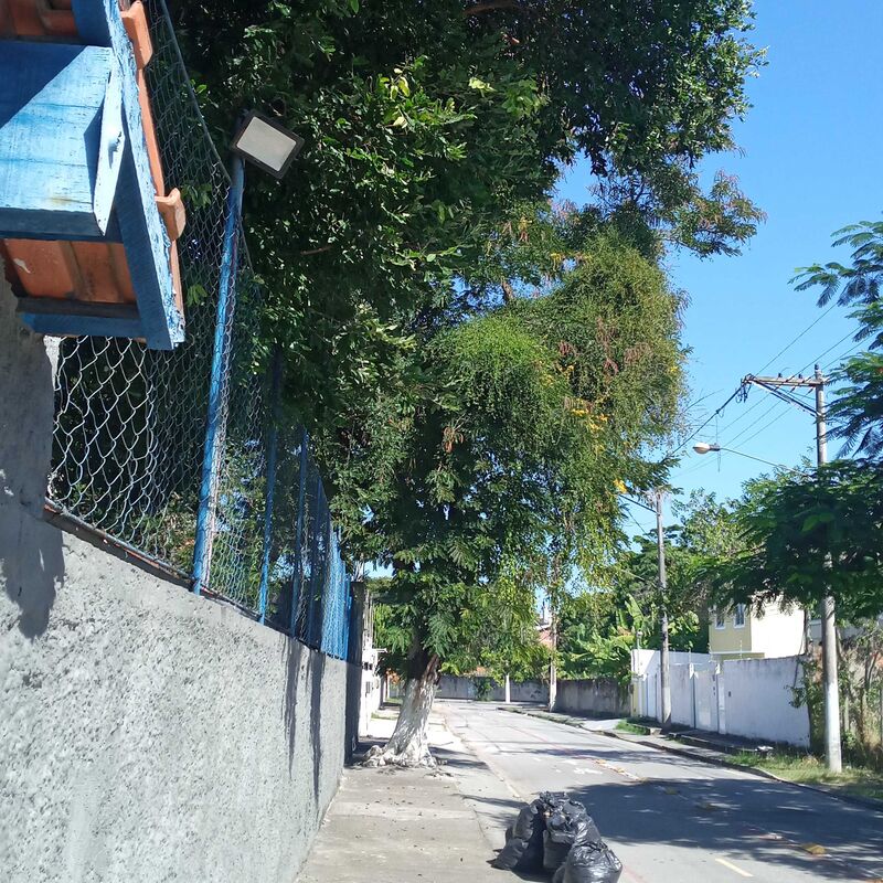 Imagem da publicação