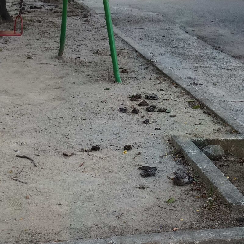 Imagem da publicação