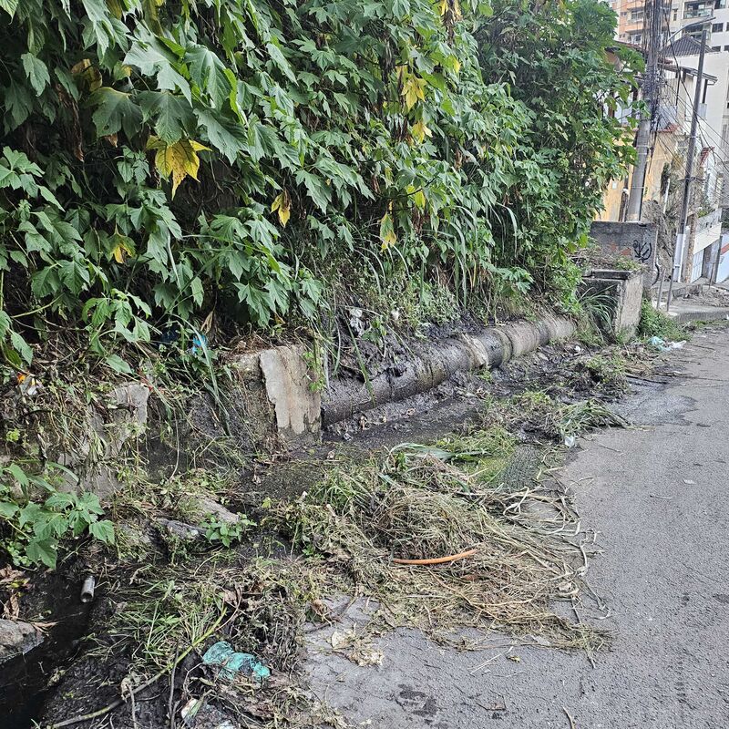 Imagem da publicação