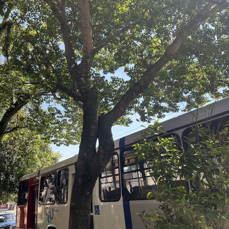 Imagem da publicação