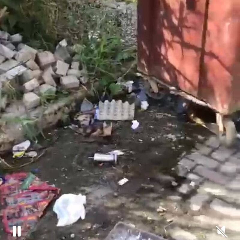 Imagem da publicação