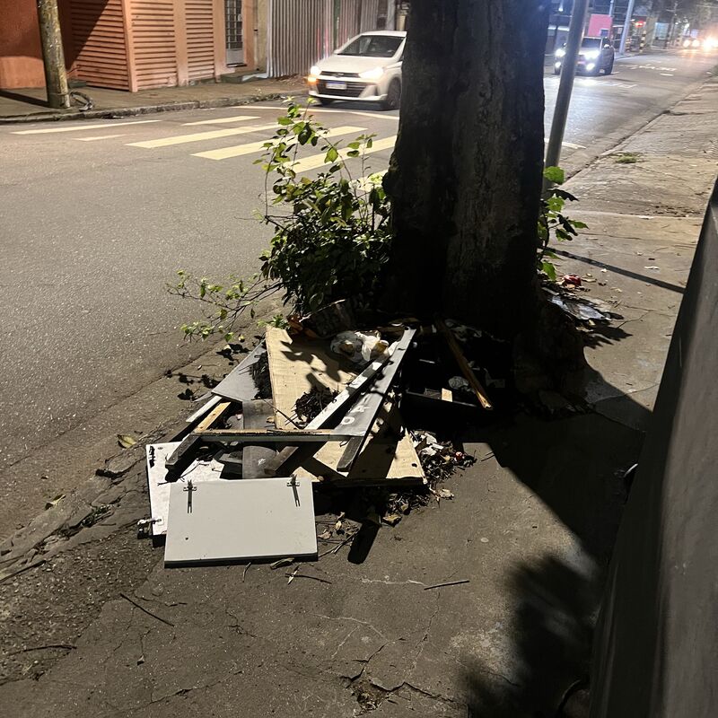 Imagem da publicação