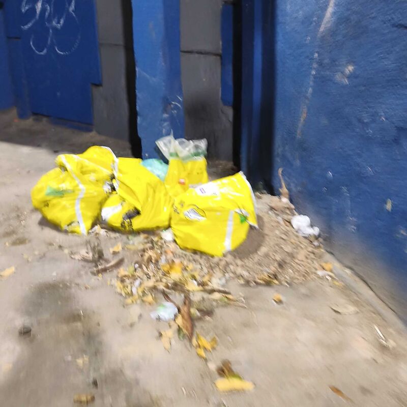 Imagem da publicação