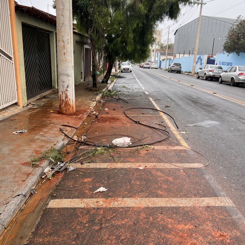 Imagem da publicação