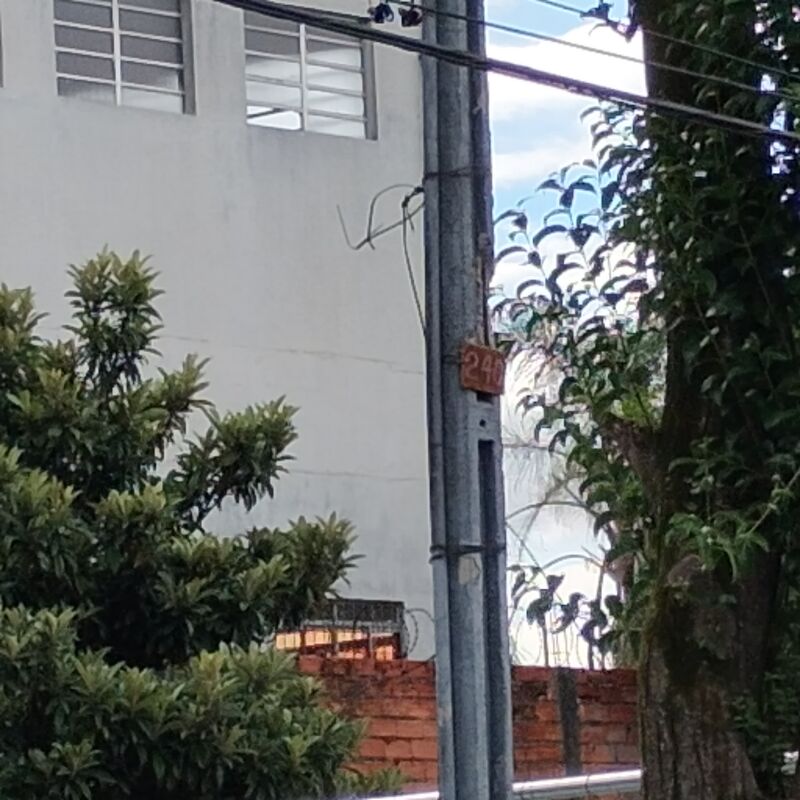 Imagem da publicação