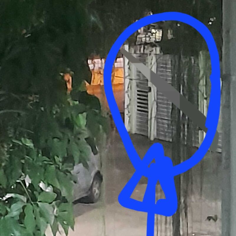 Imagem da publicação