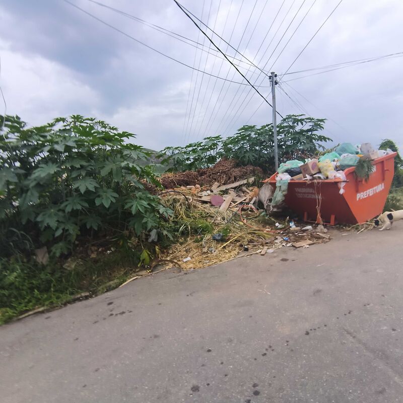 Imagem da publicação