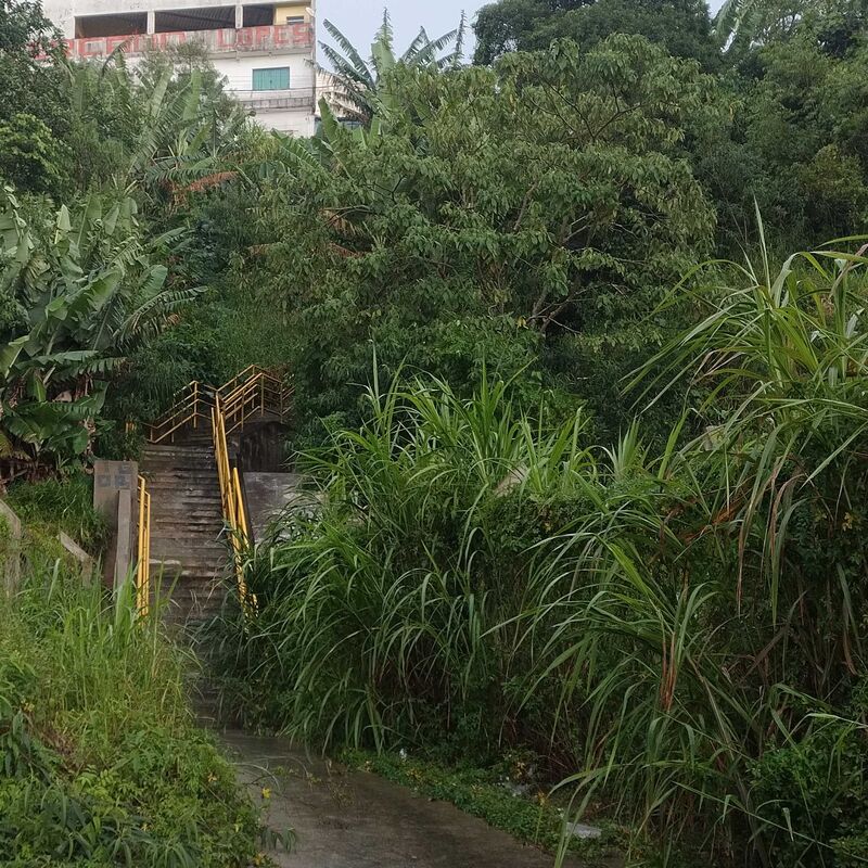 Imagem da publicação