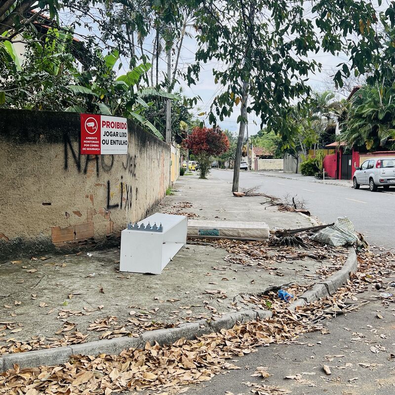 Imagem da publicação