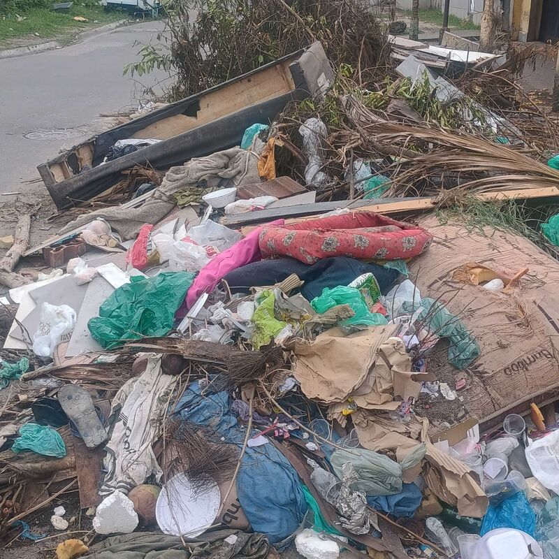 Imagem da publicação