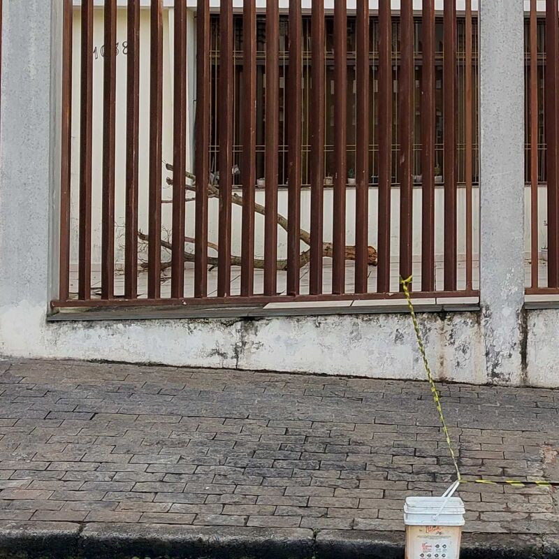 Imagem da publicação
