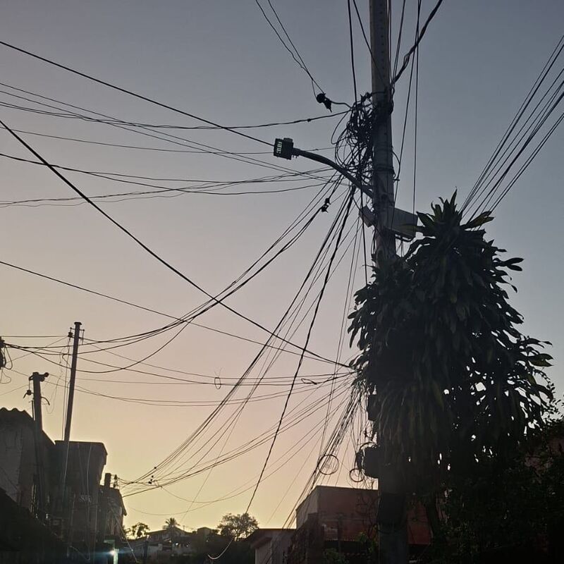 Imagem da publicação