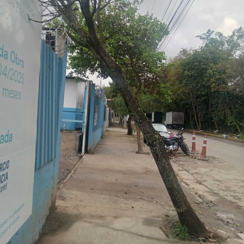 Imagem da publicação