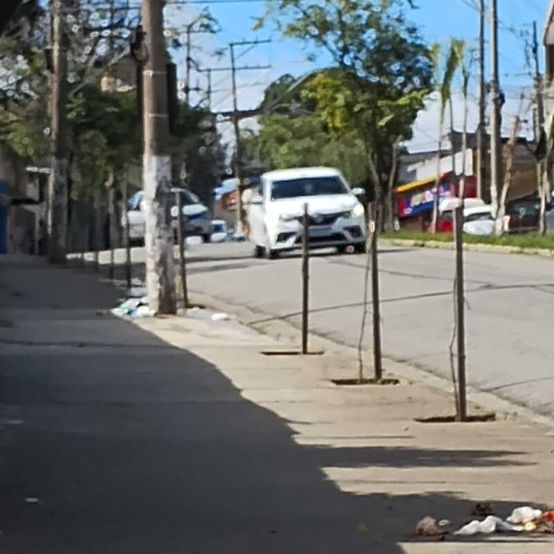 Imagem da publicação