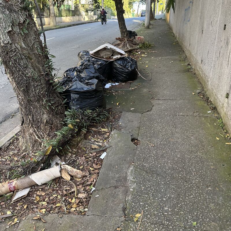 Imagem da publicação