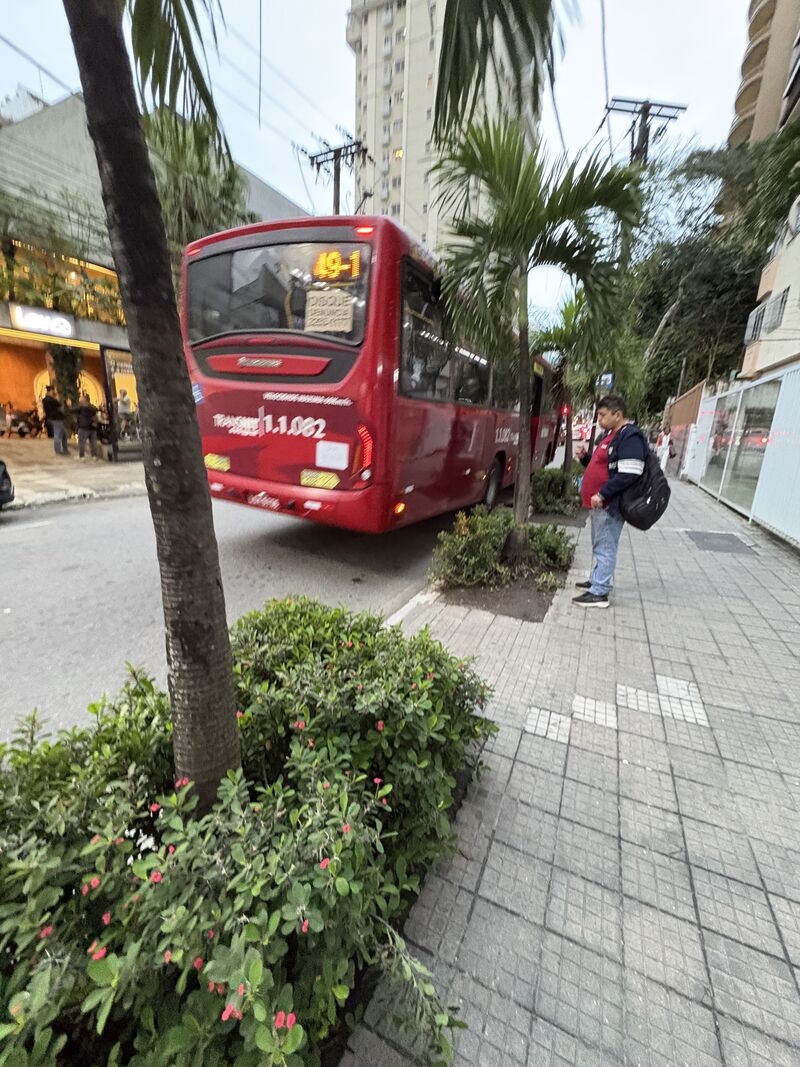 Imagem da publicação