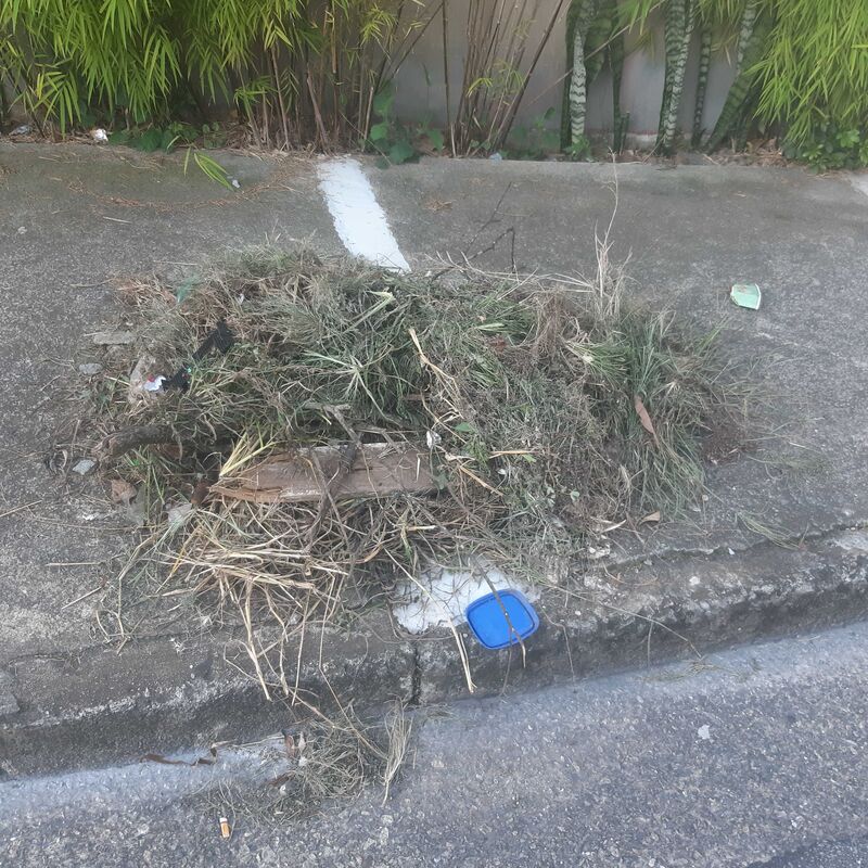 Imagem da publicação