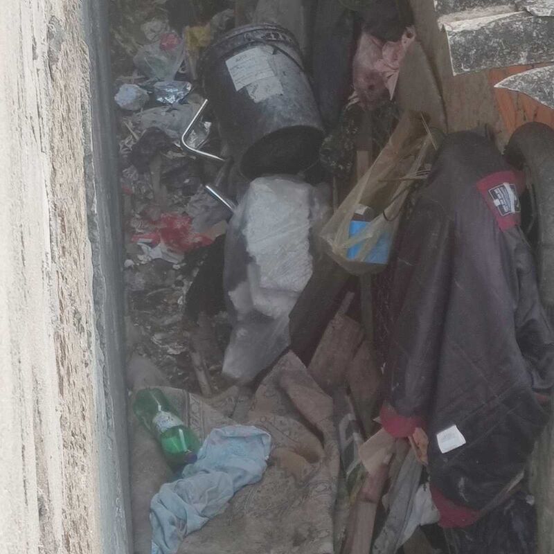 Imagem da publicação