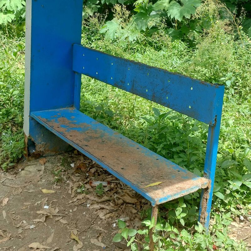 Imagem da publicação