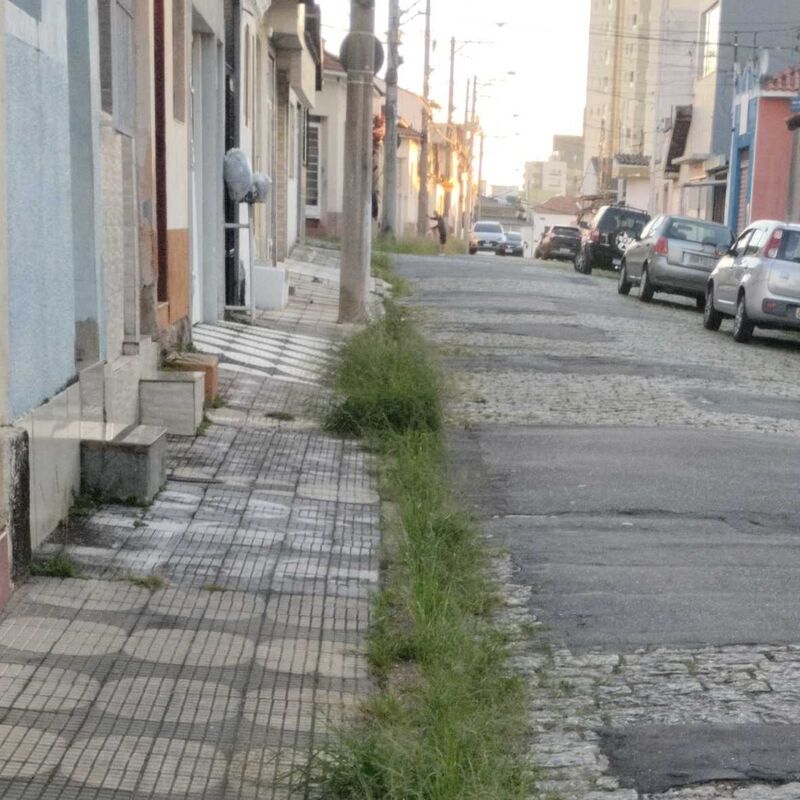Imagem da publicação