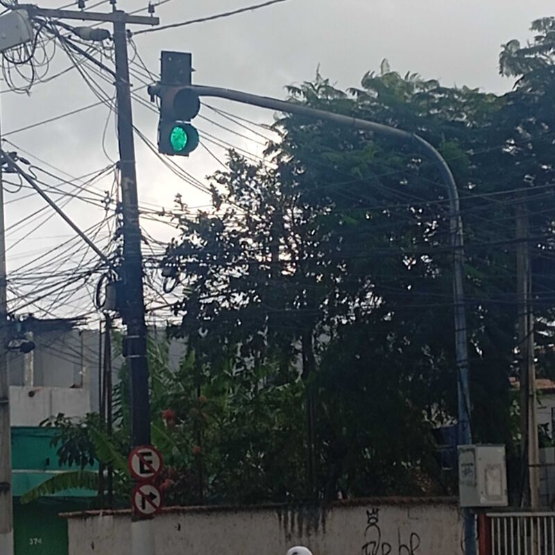 Imagem da publicação