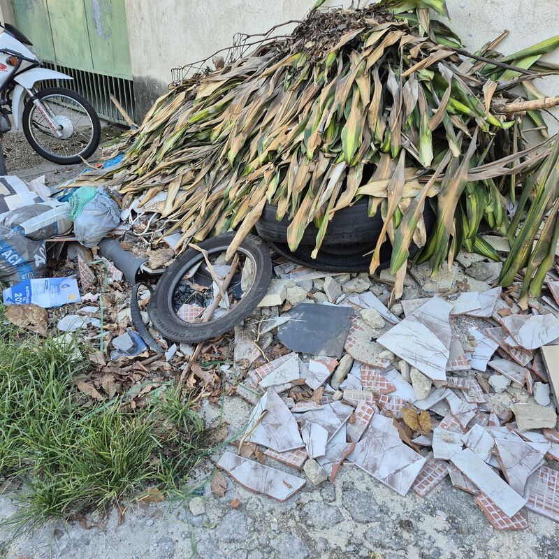 Imagem da publicação